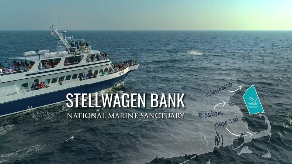 Jan Meeting - Exploring Stellwagen Bank: Sanctuary Science and Whale Research